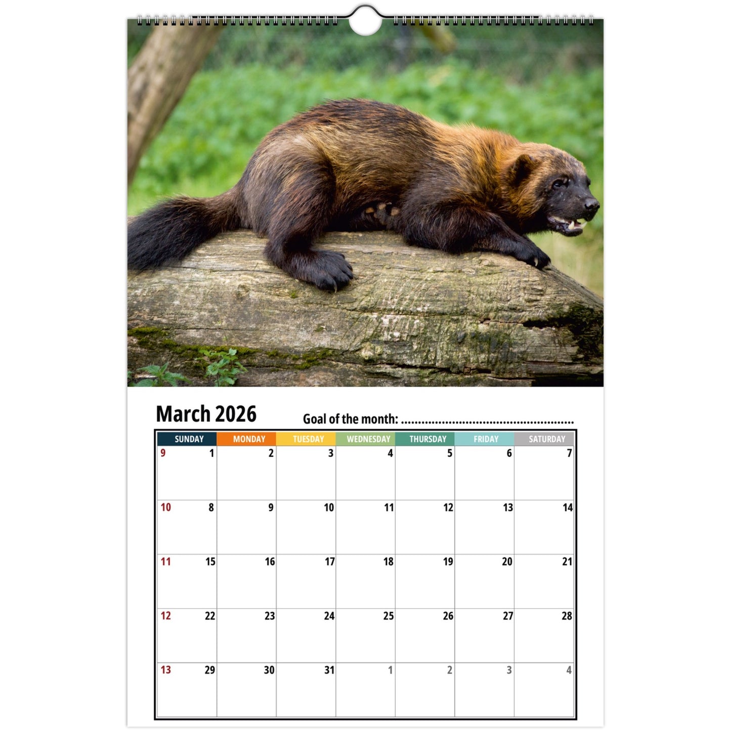 Wolverine Wall Calendar 2026