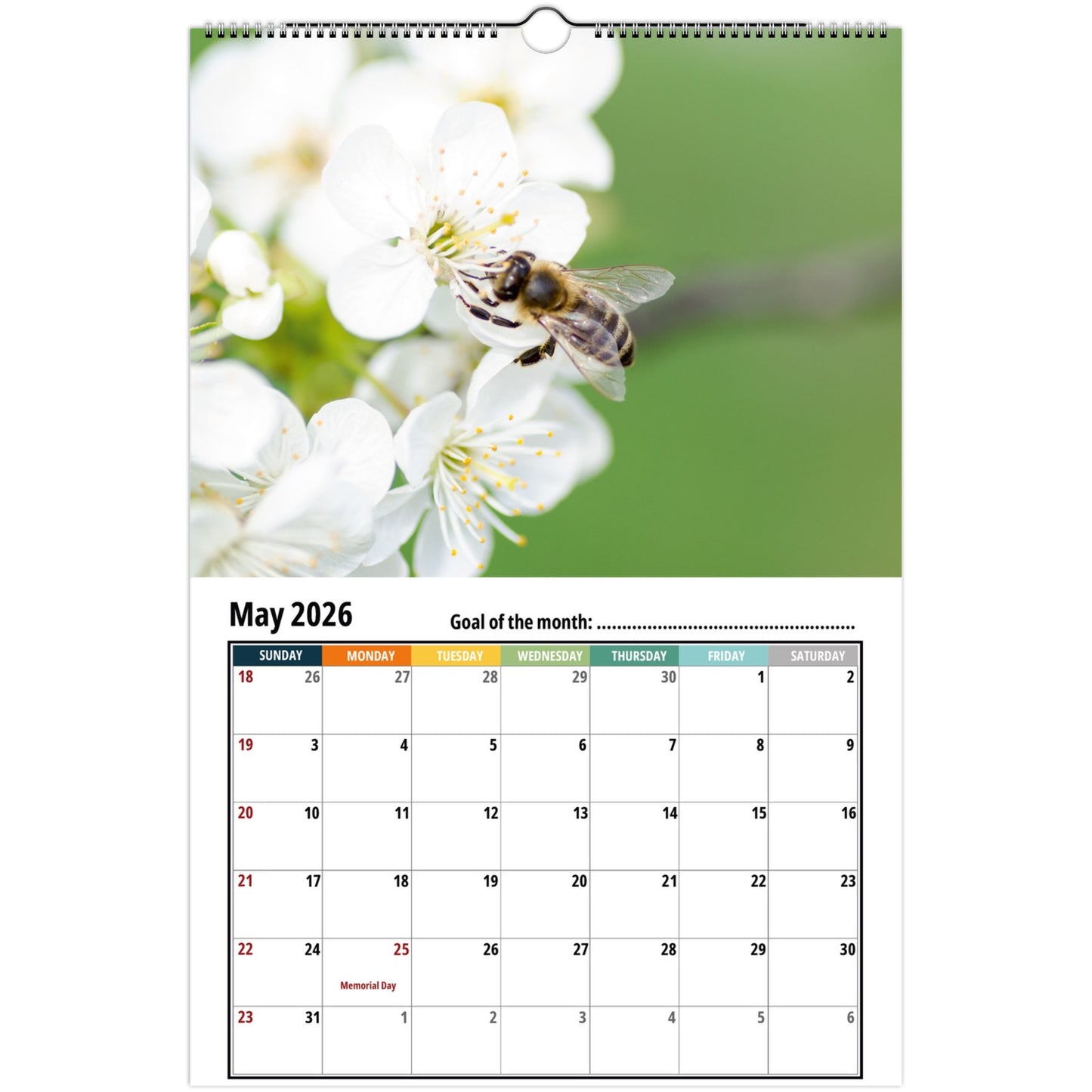 Bee Wall Calendar 2026