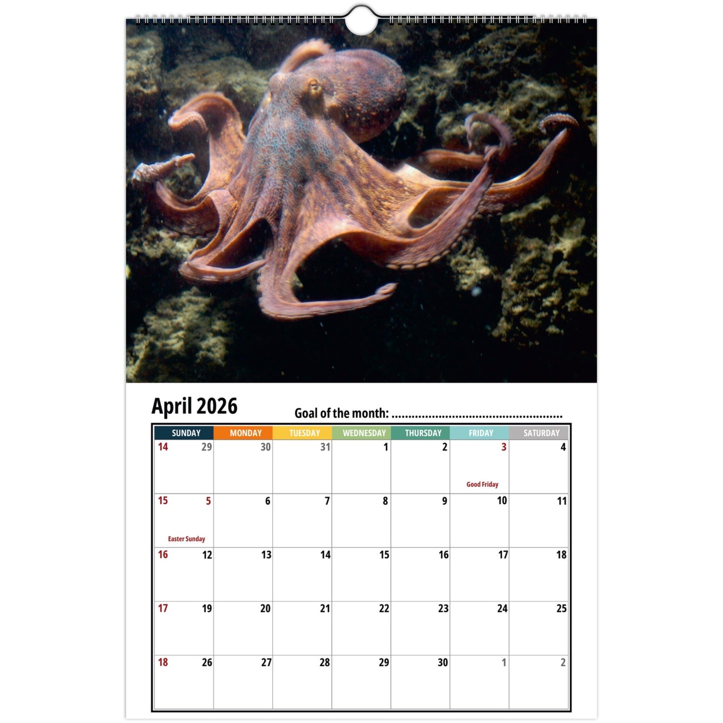 Octopus Wall Calendar 2026