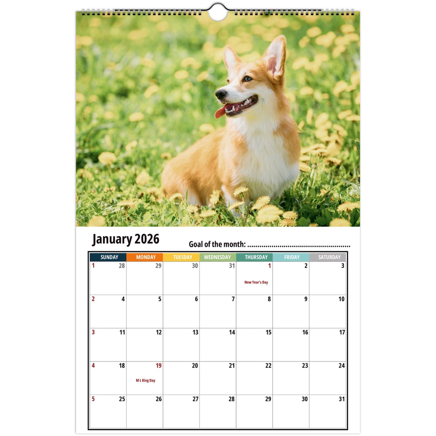 2026 Corgi Wall Calendar