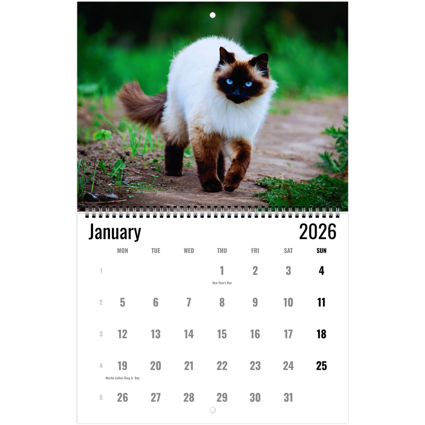 2026 Himalayan Cat Calendar