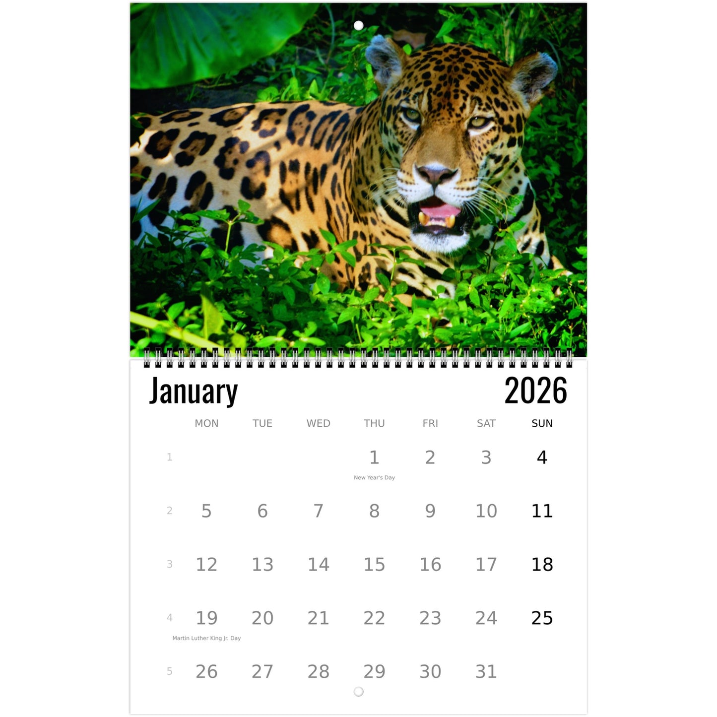 2026 Jaguar Calendar