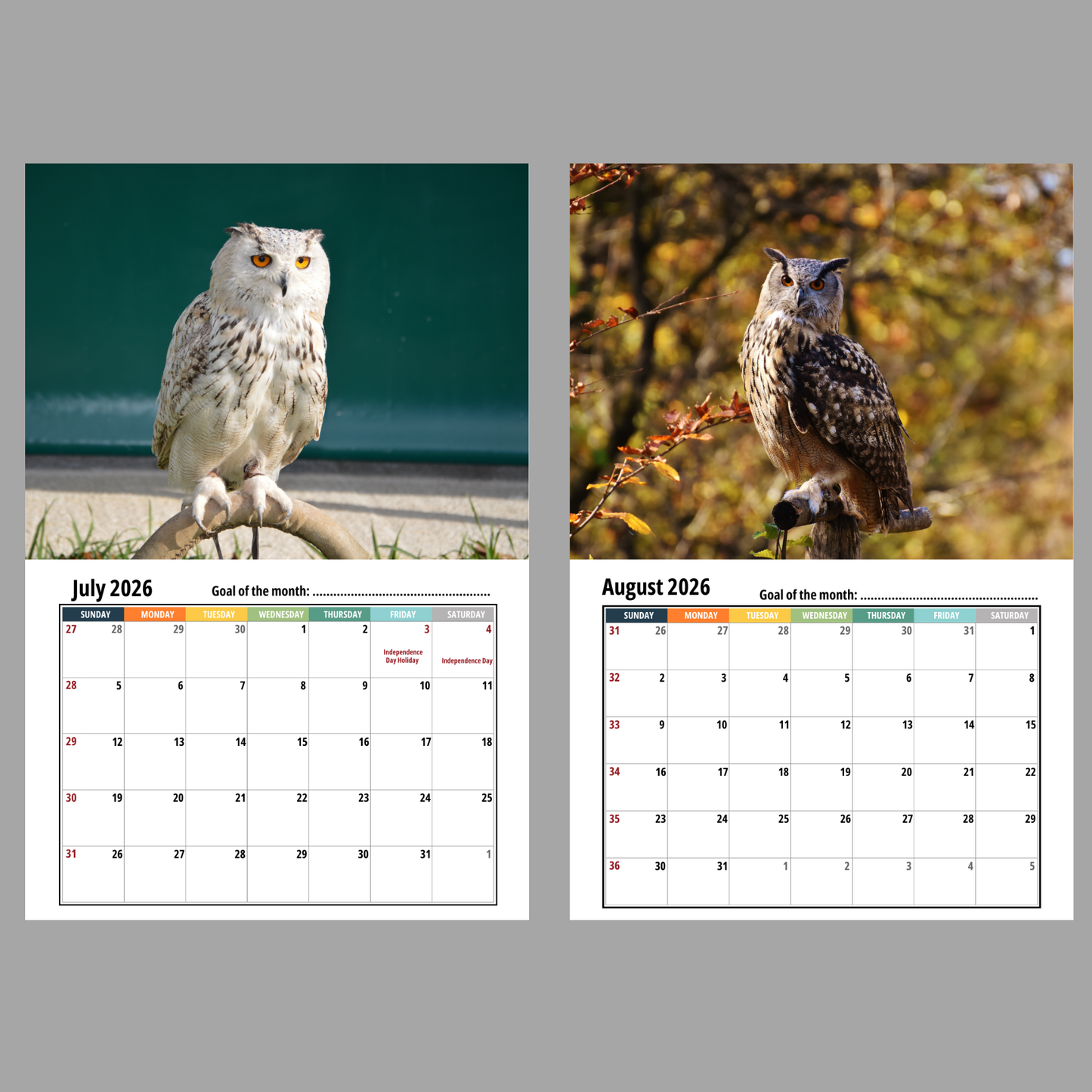 2026 Owl Calendar