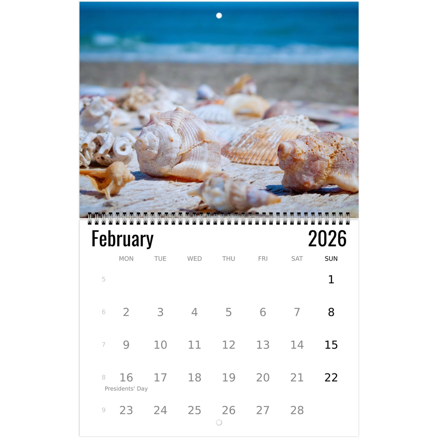 2026 Sea Shells Calendar
