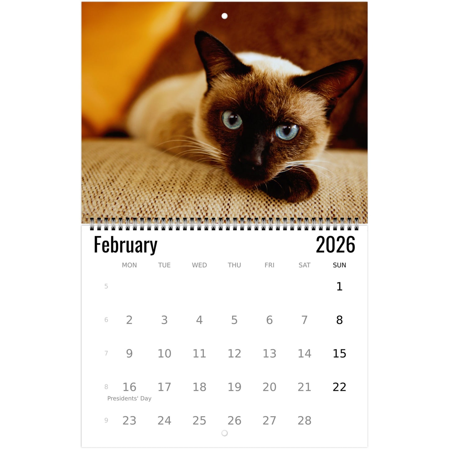 2026 Siamese Cat Calendar