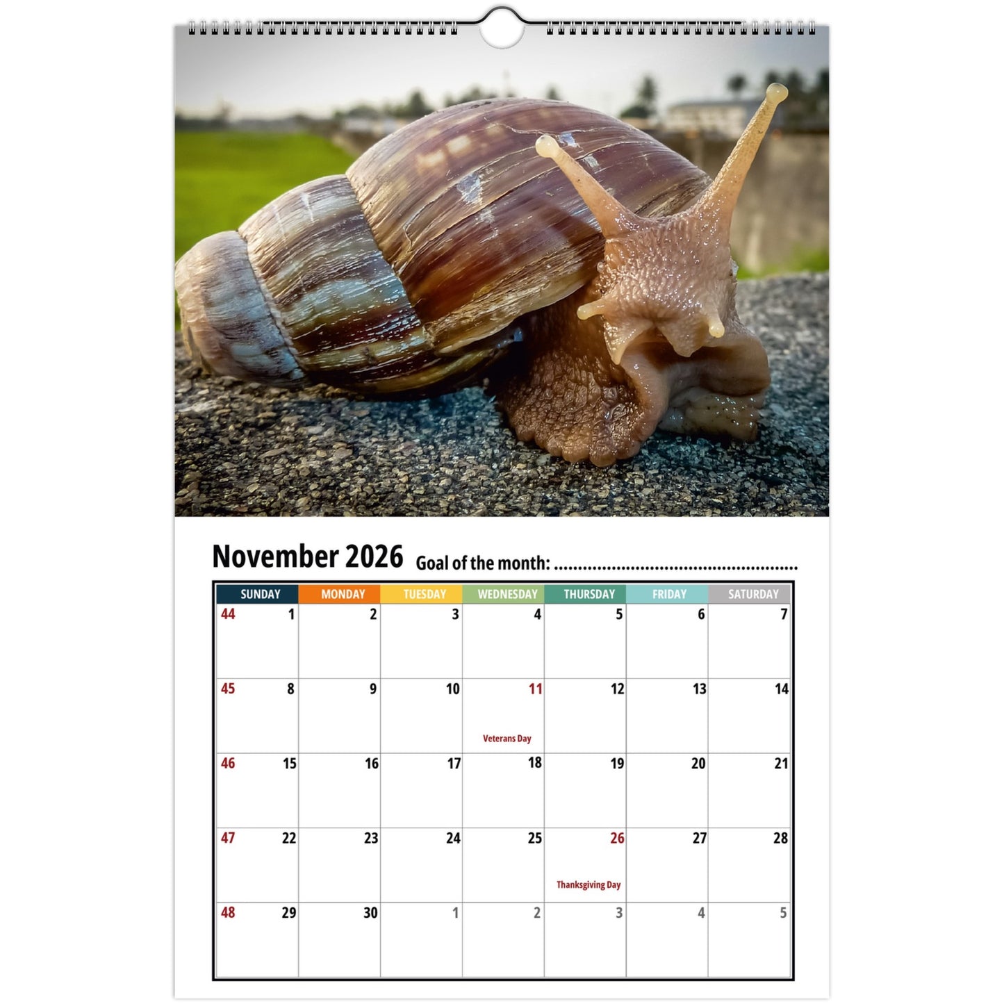 2026 Snail Calendar