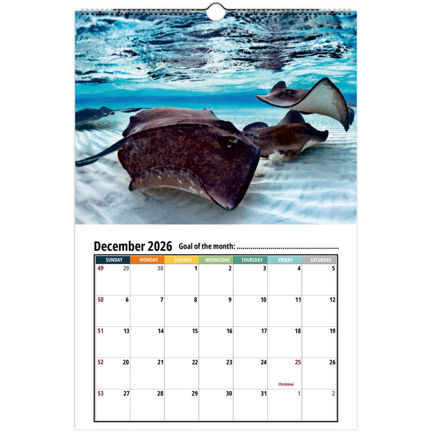 2026 Stingray Calendar