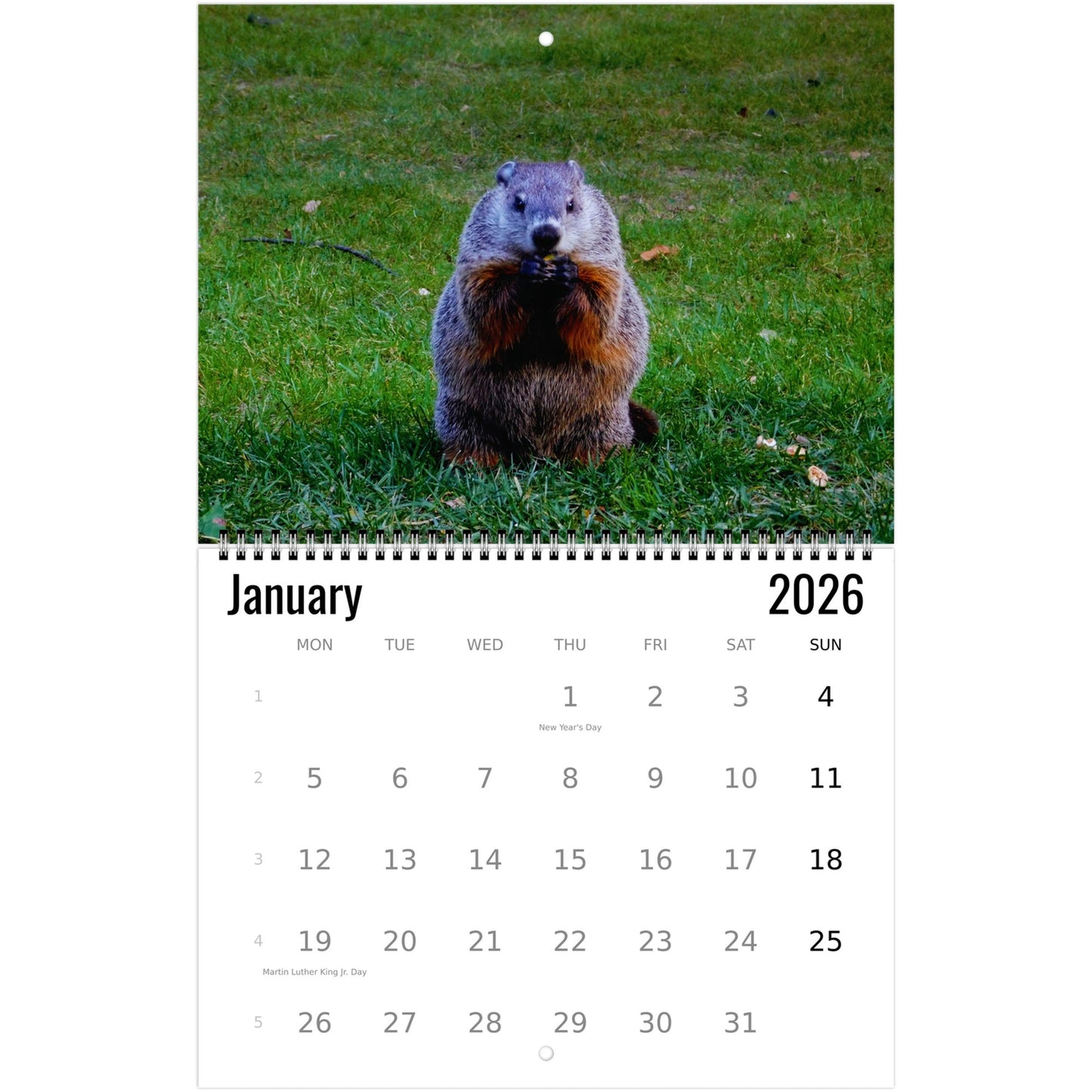 2026 groundhog calendar 2026