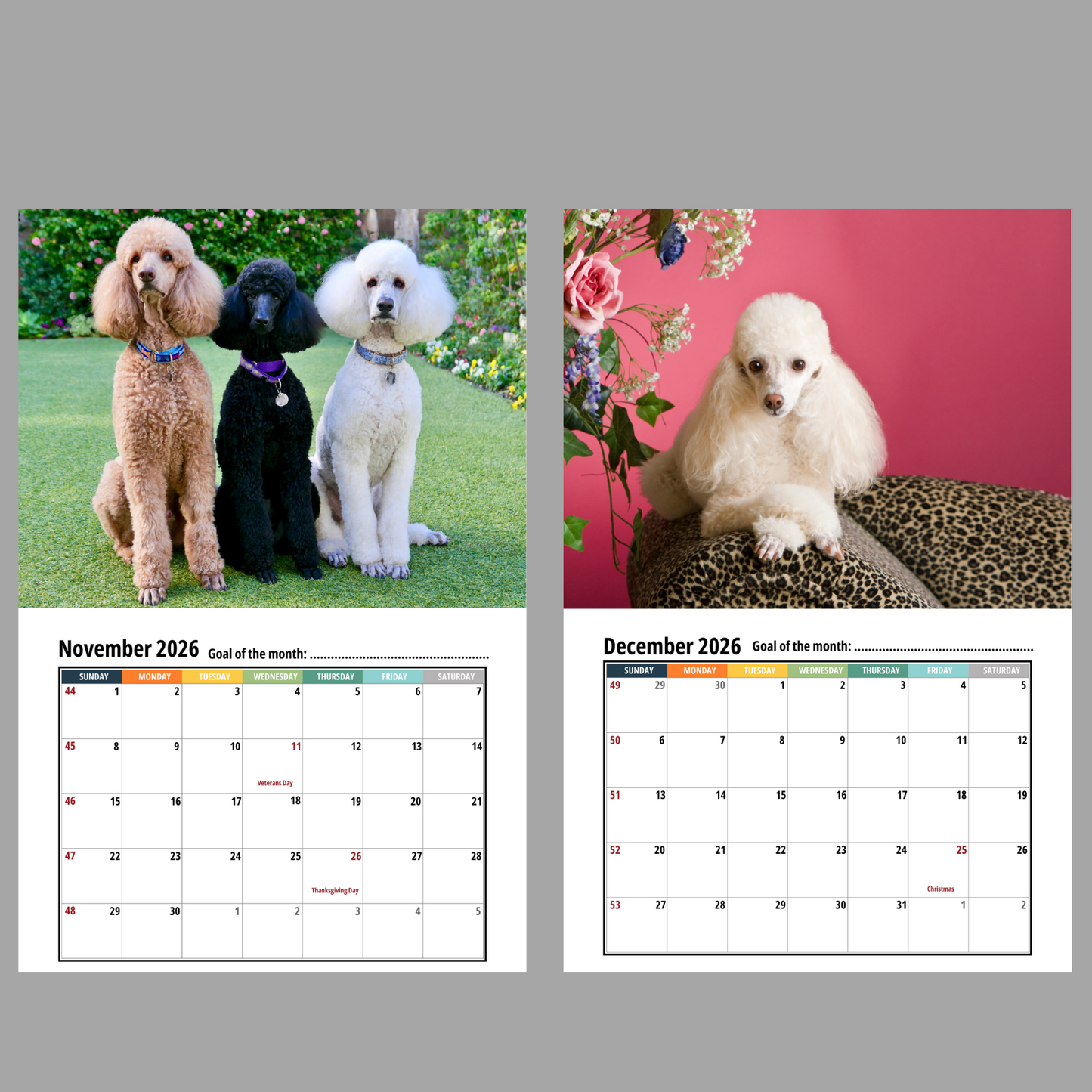 2026 poodle calendar