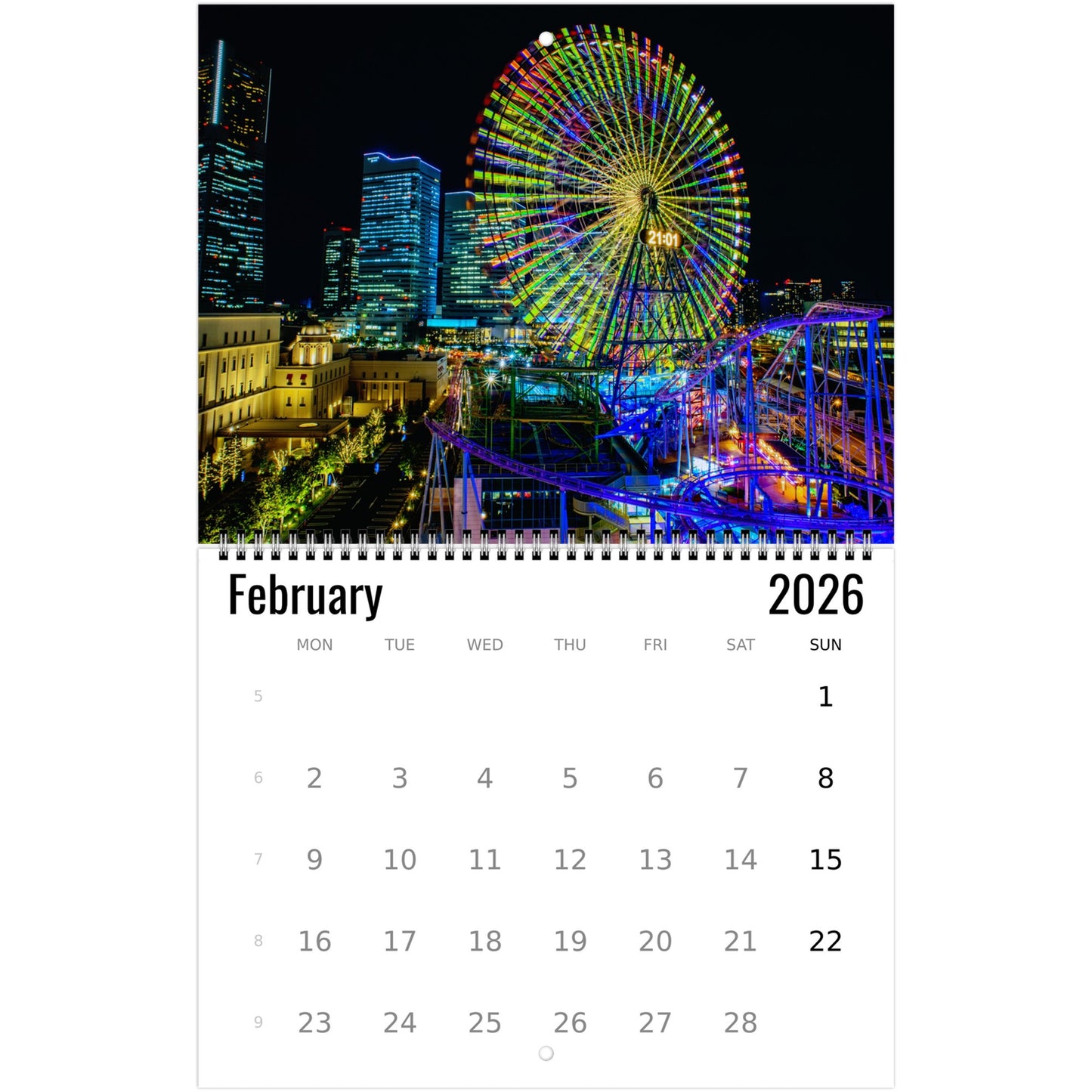 Roller Coaster Wall Calendar 2026