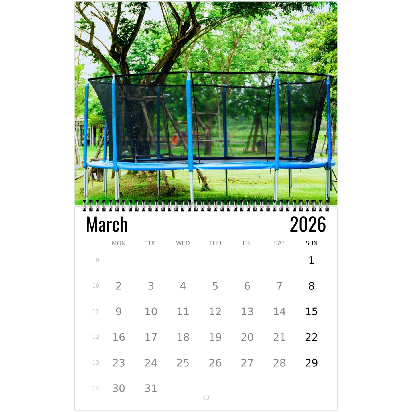 Trampoline Wall Calendar 2026