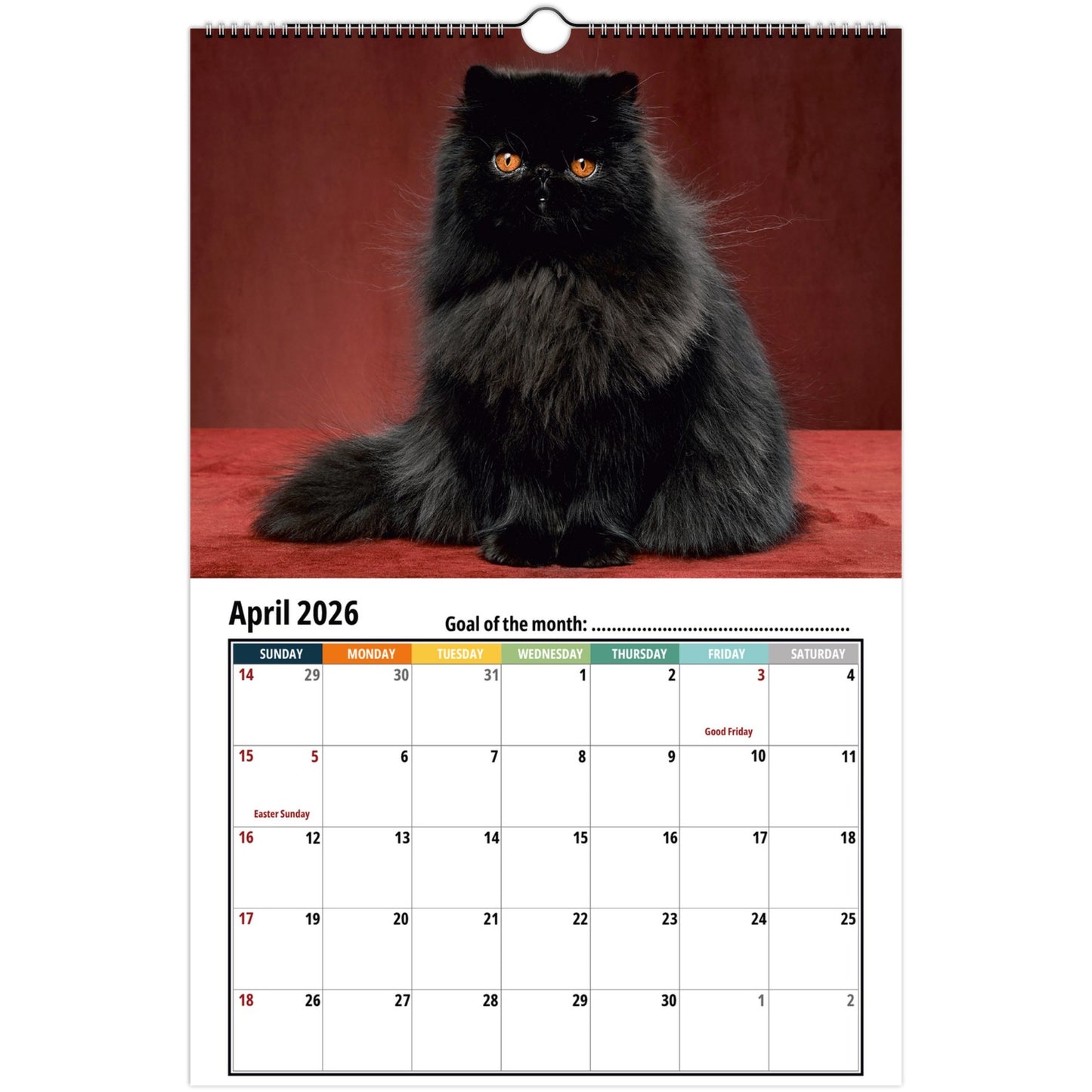 Calendar with a black persian cat on a red background