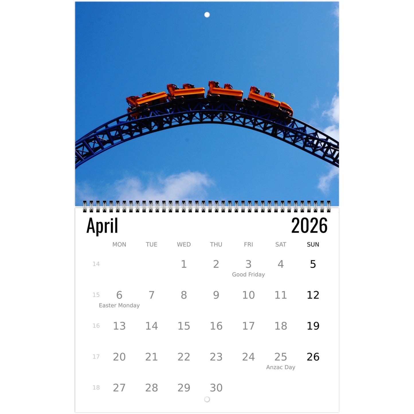 Roller Coaster Wall Calendar 2026
