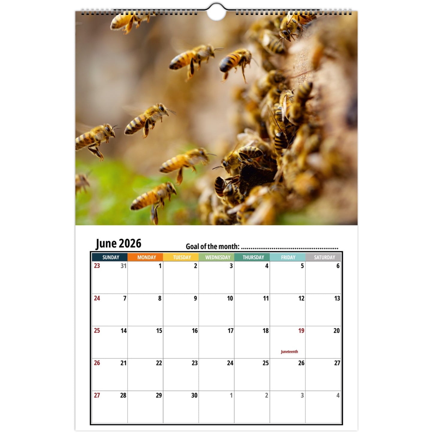 Bee Wall Calendar 2026