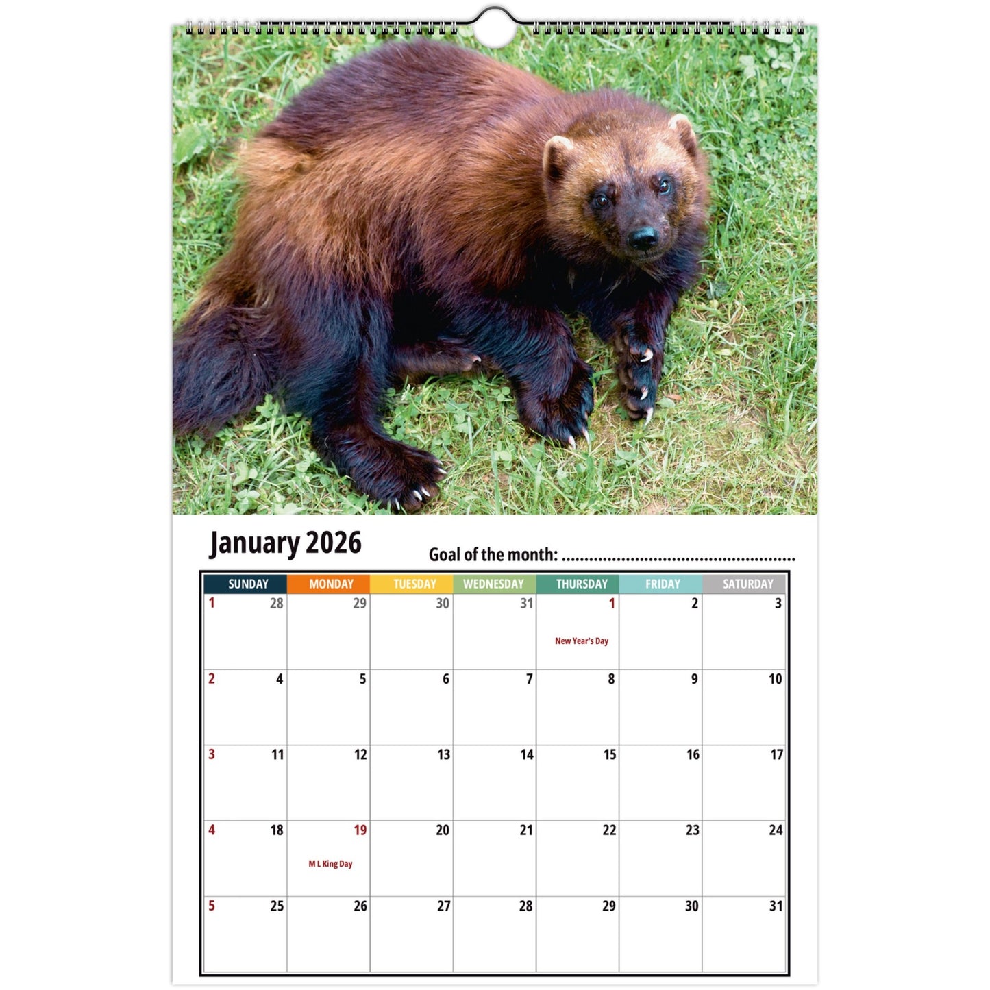 Wolverine Wall Calendar 2026