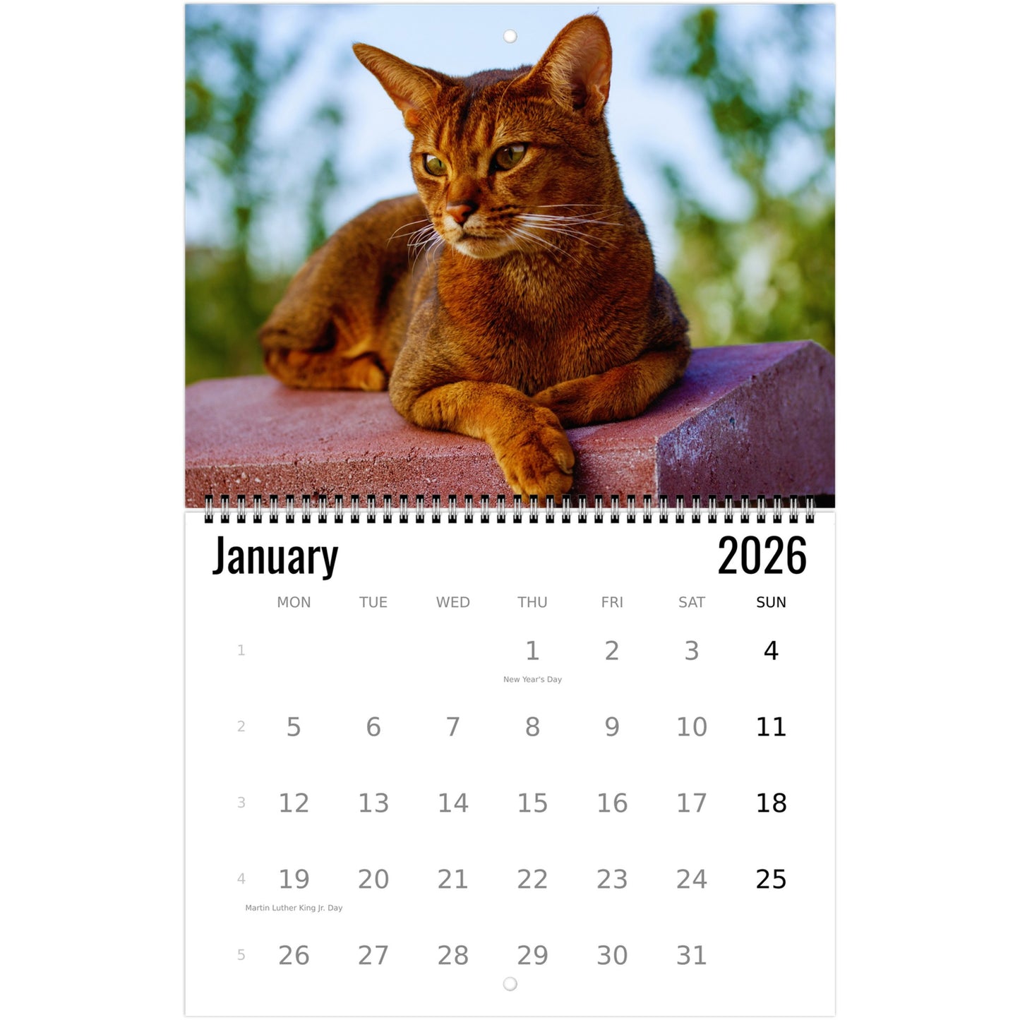 Abyssinian Wall Calendar 2026