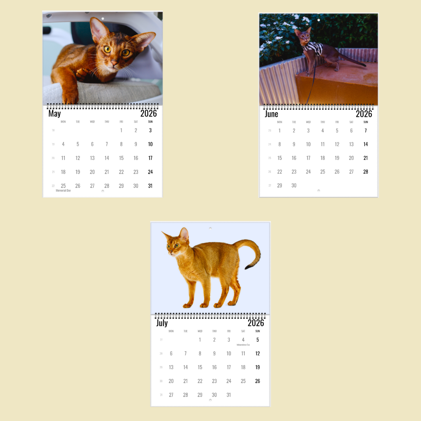 Abyssinian Wall Calendar 2026