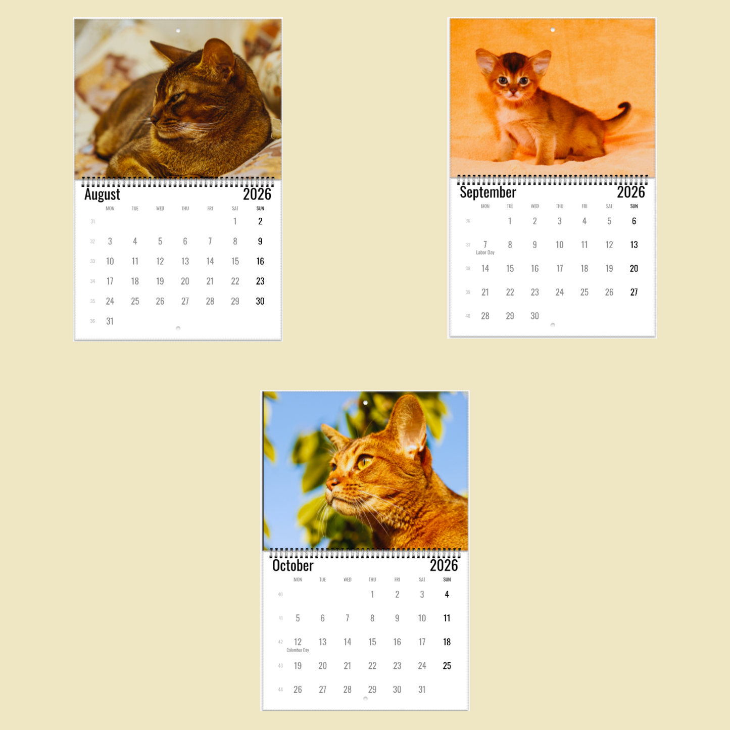 Abyssinian Wall Calendar 2026