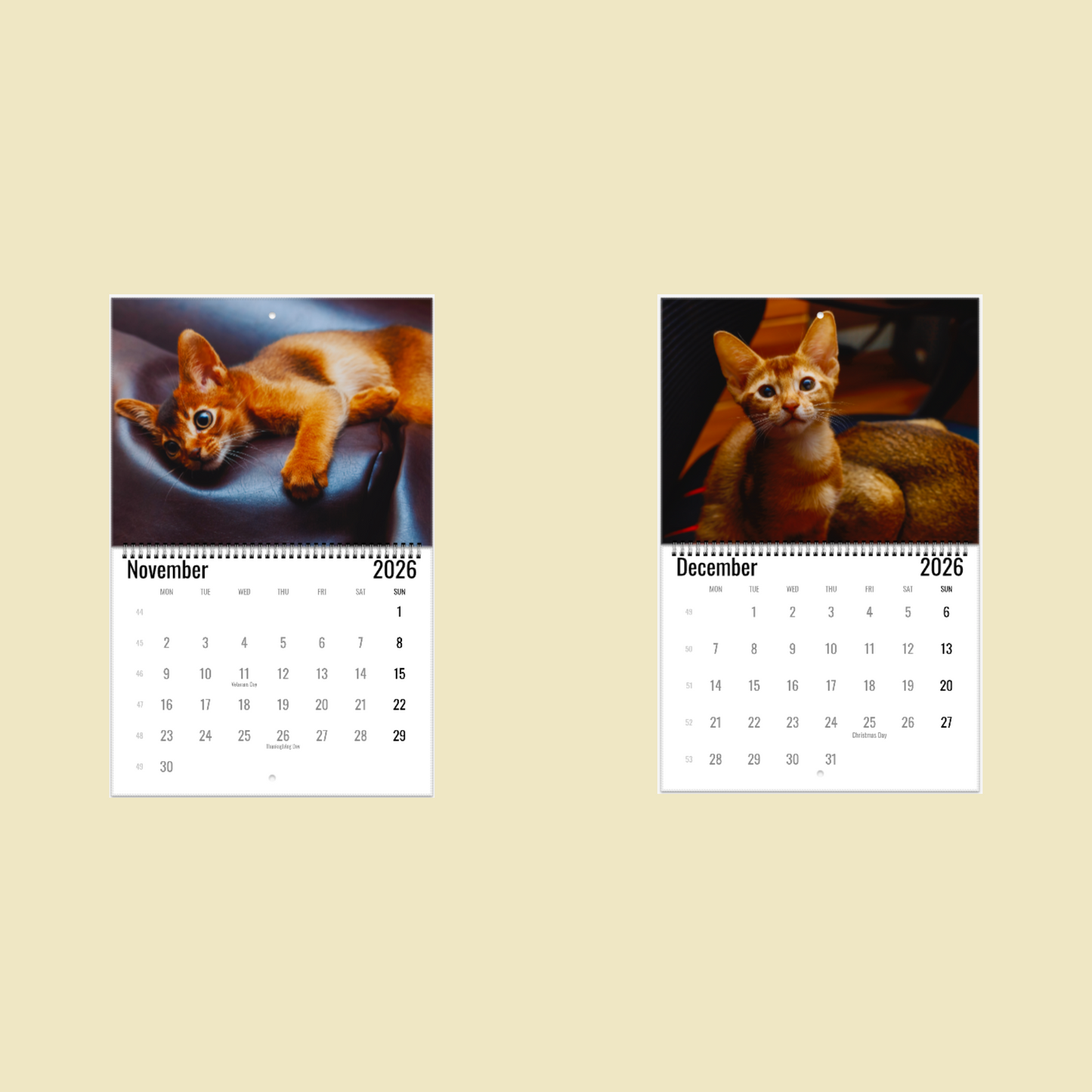 Abyssinian Wall Calendar 2026