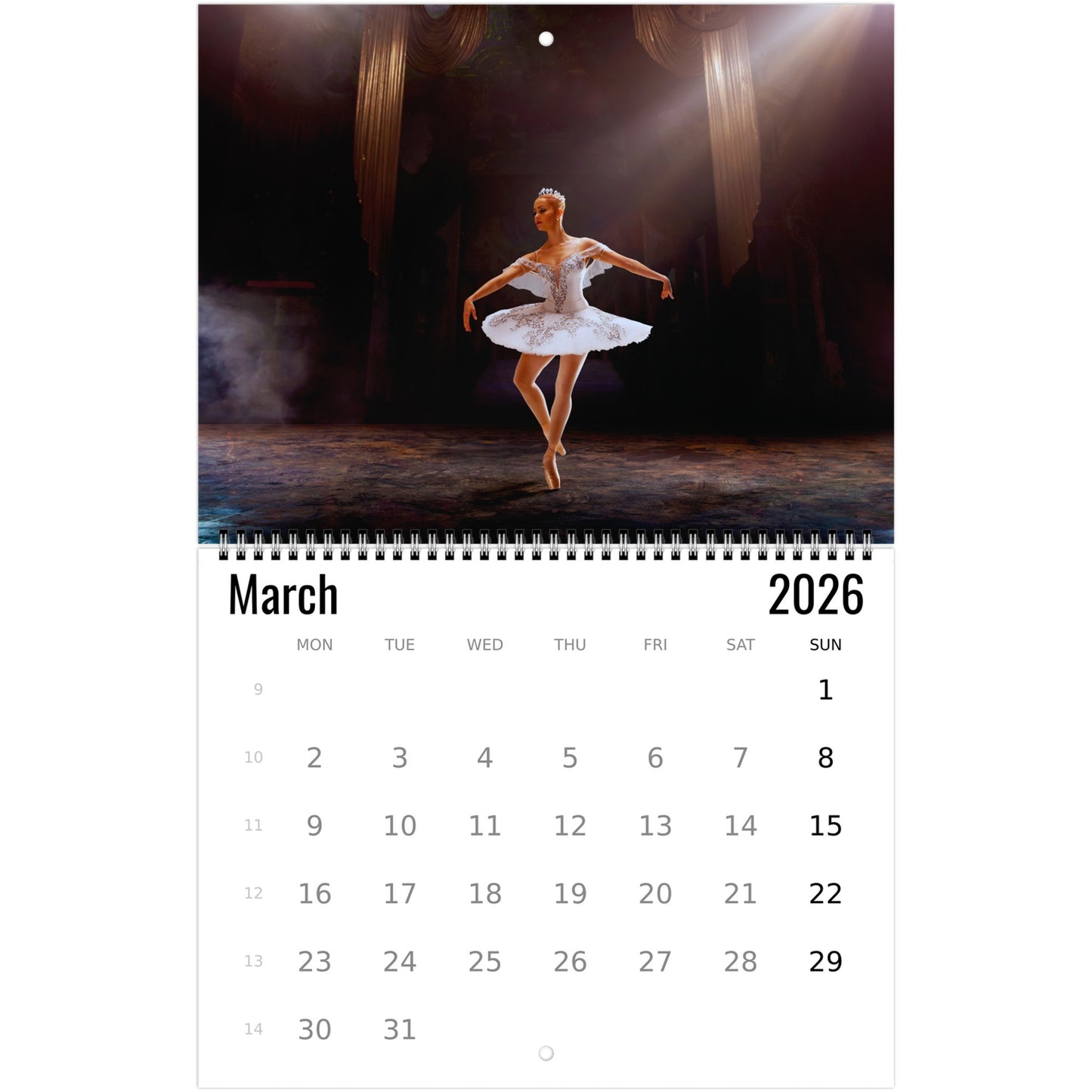 Ballet Wall Calendar 2026
