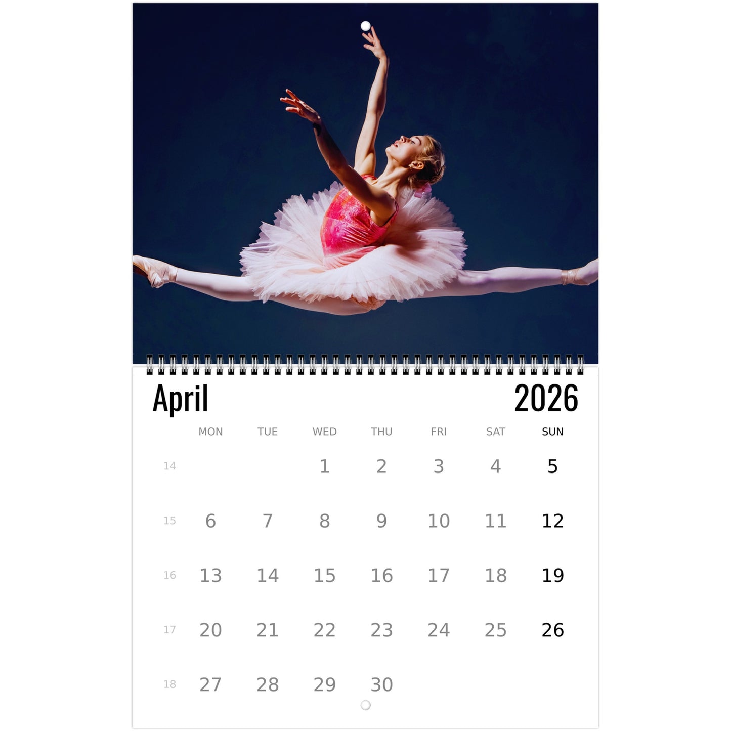 Ballet Wall Calendar 2026