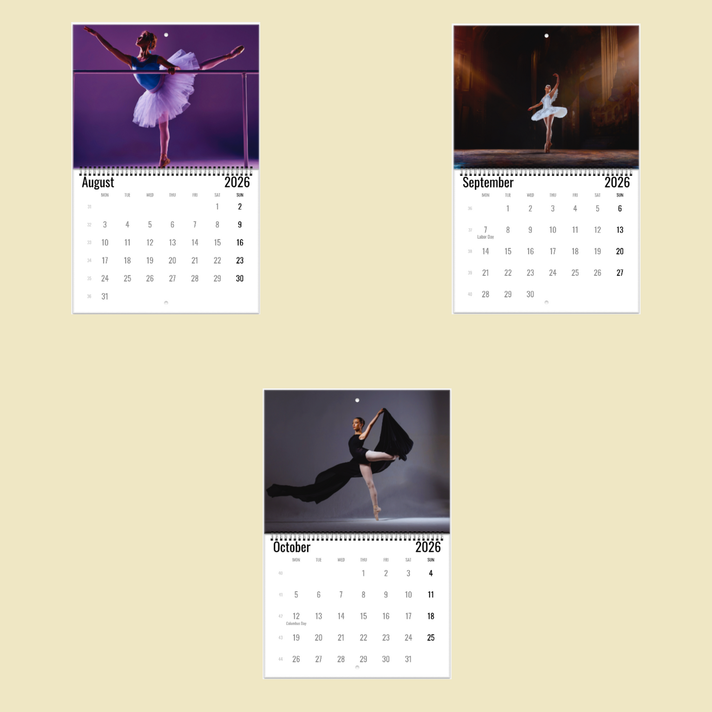 Ballet Wall Calendar 2026