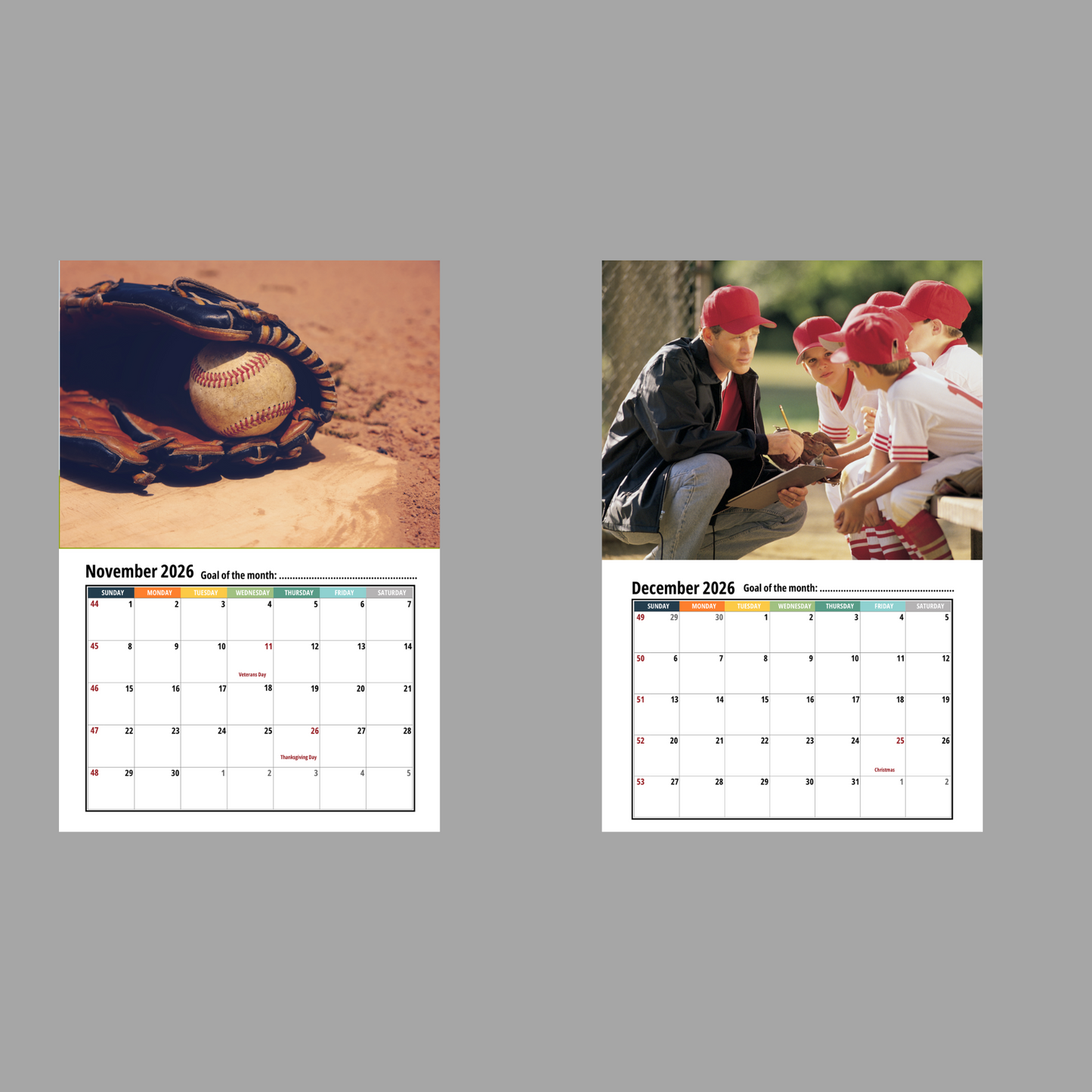 Baseball Wall Calendar 2026