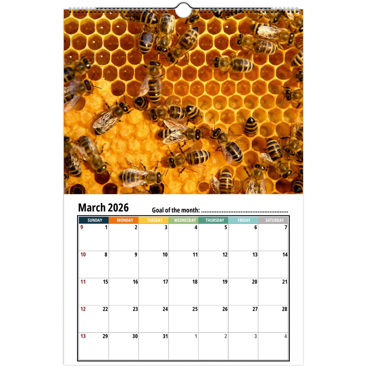 Bee Wall Calendar 2026
