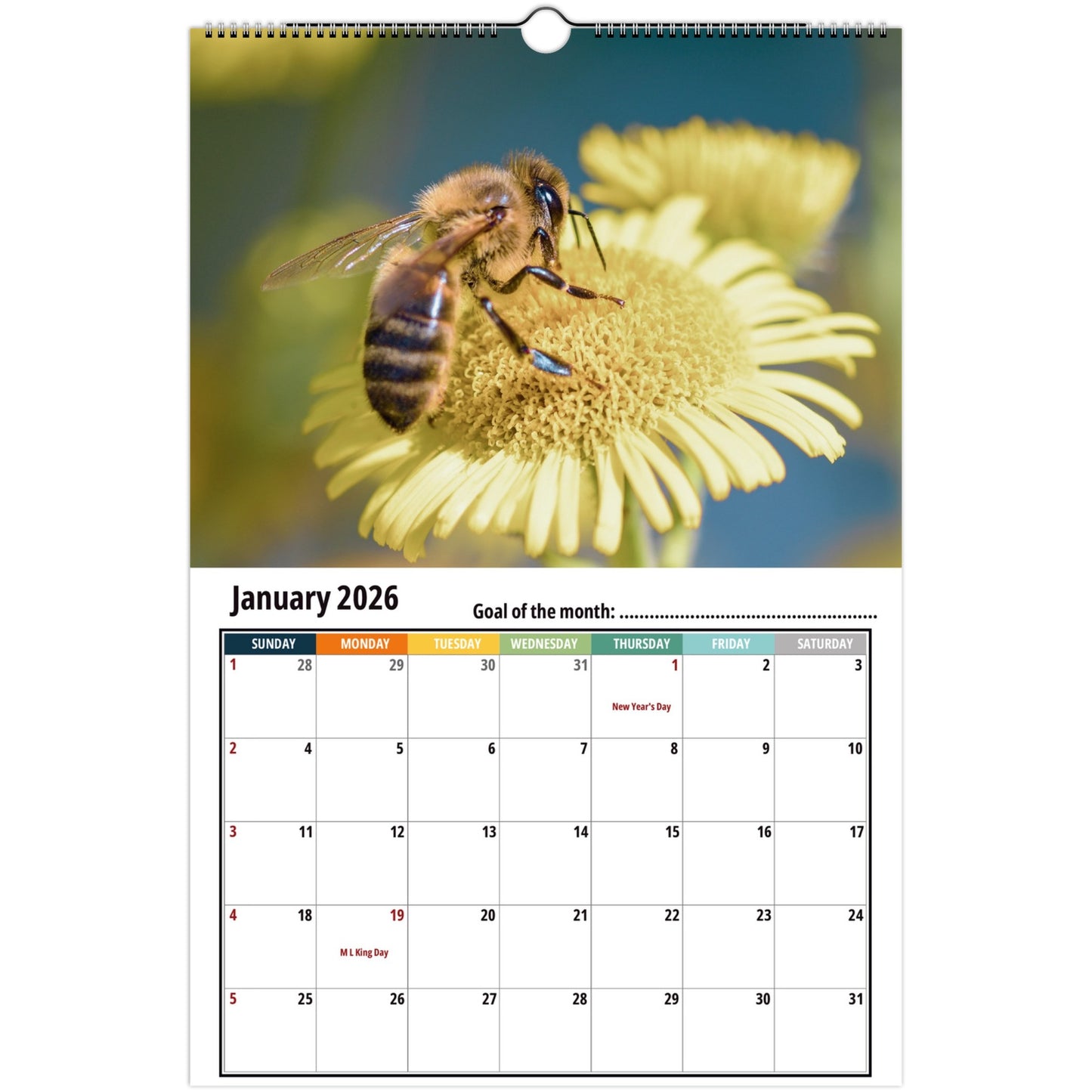 Bee Wall Calendar 2026