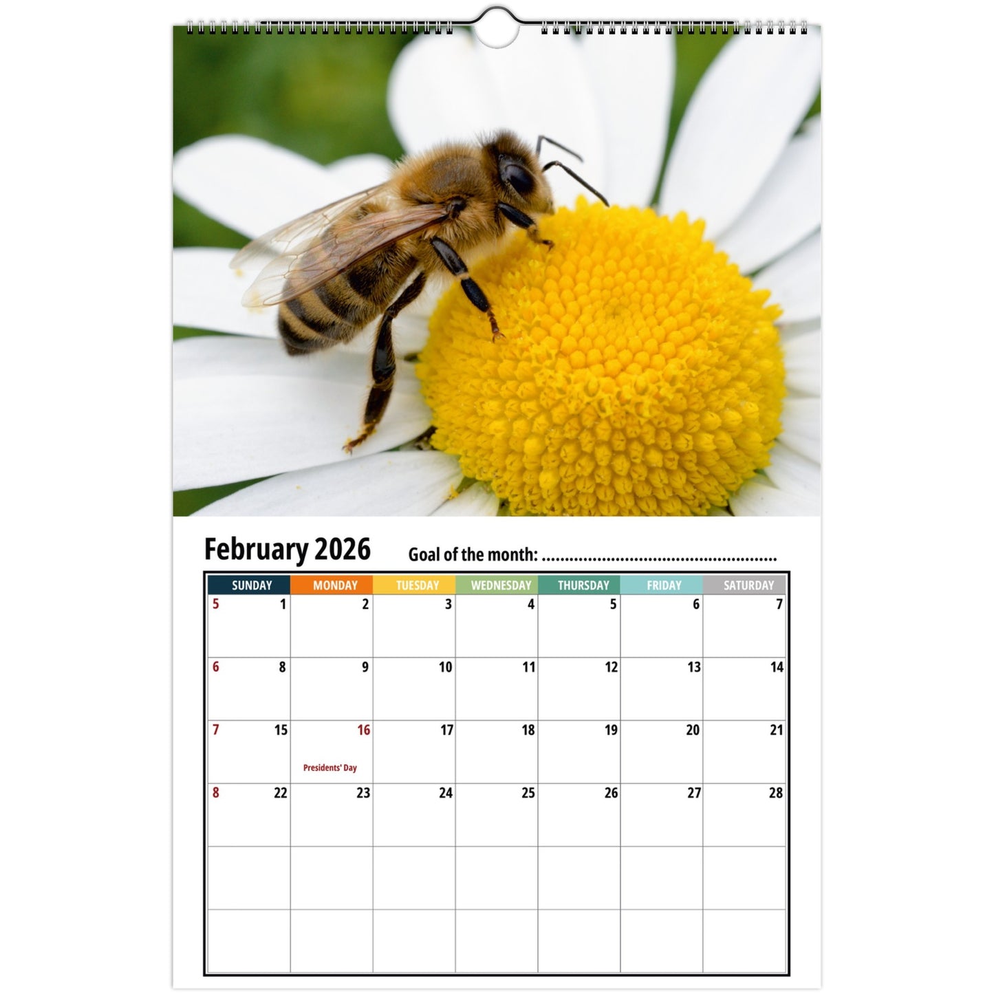 Bee Wall Calendar 2026
