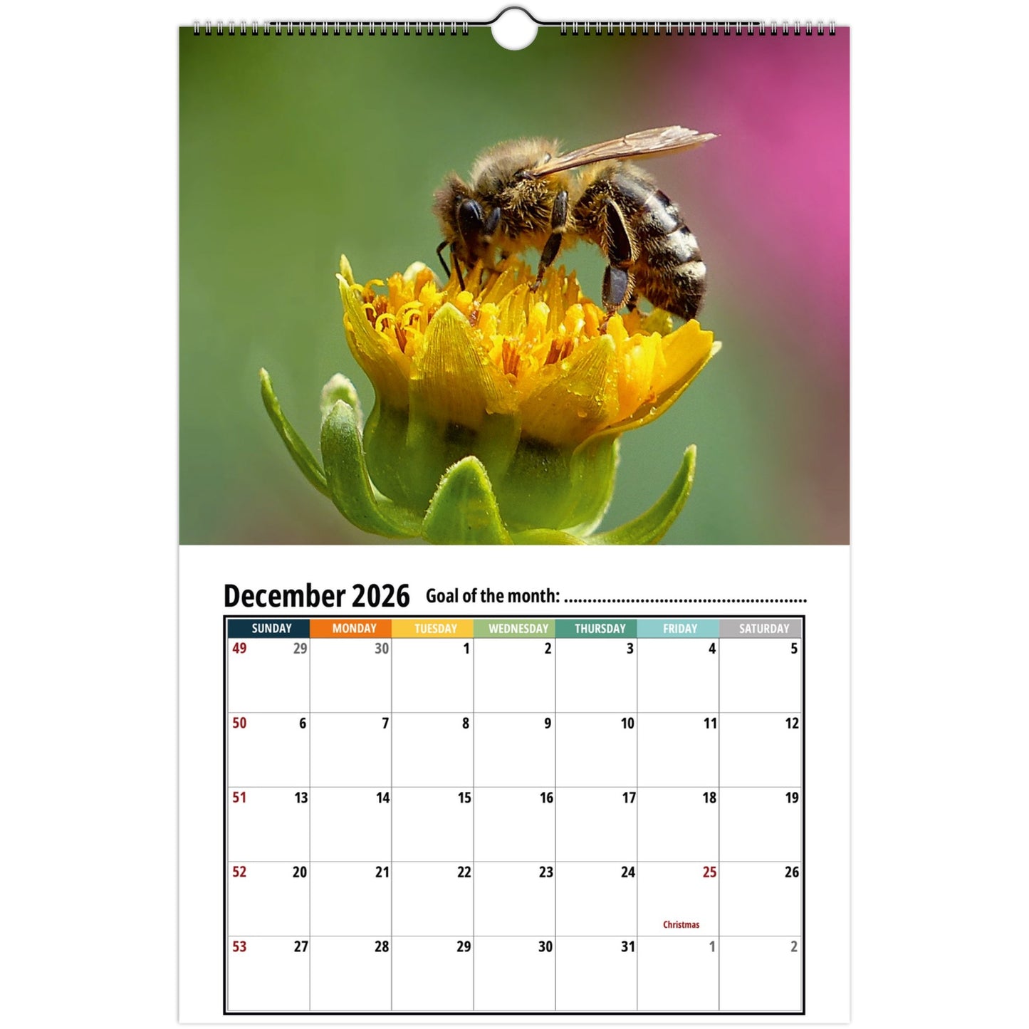 Bee Wall Calendar 2026