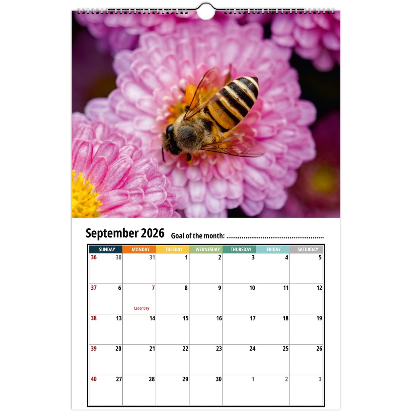 Bee Wall Calendar 2026