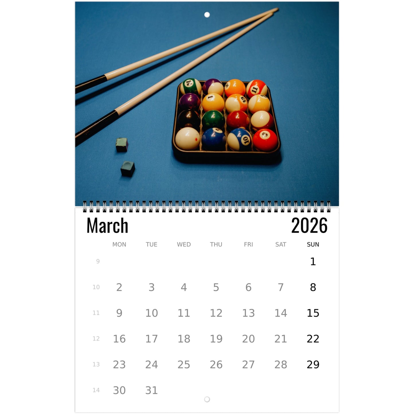 Billiards Wall Calendar 2026