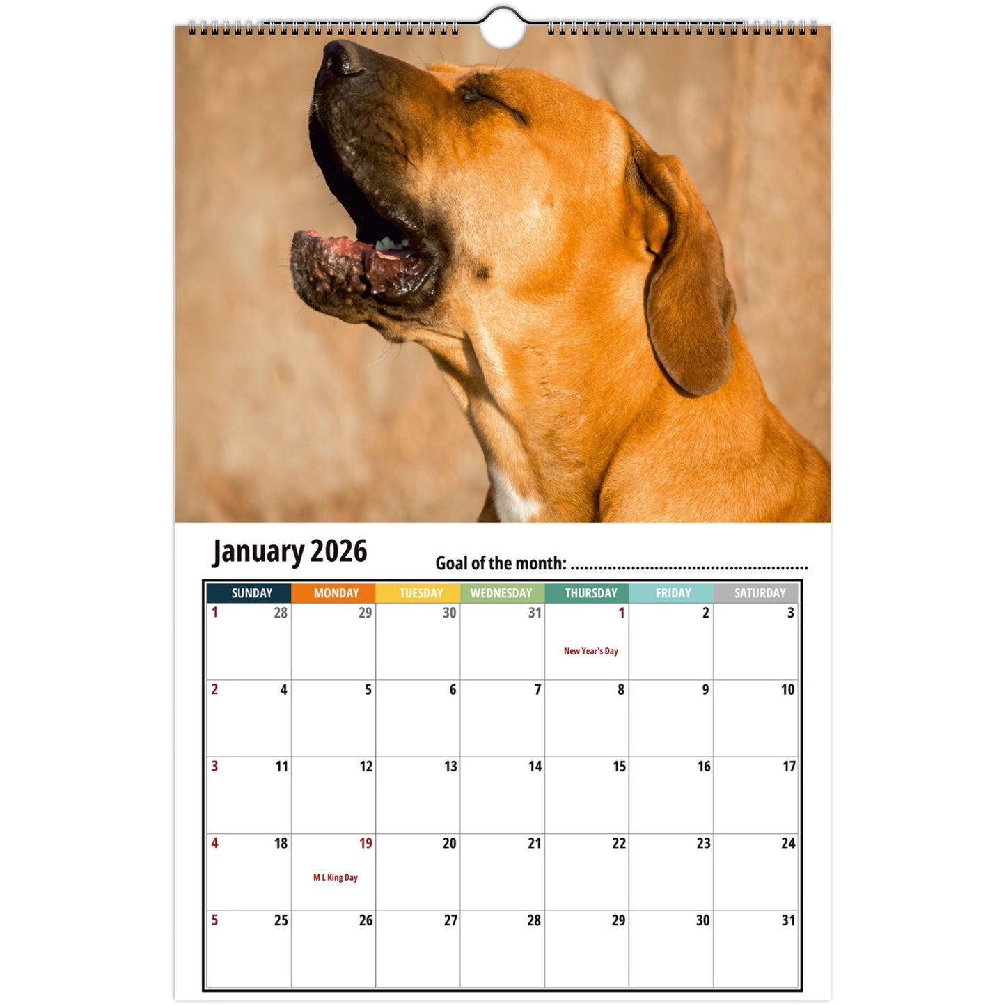 Boerboel Wall Calendar 2026 1