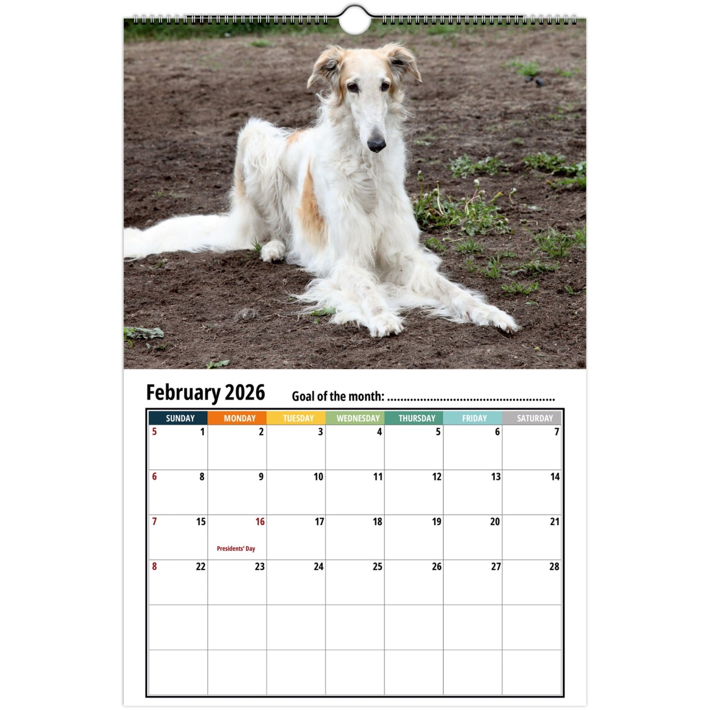 Borzoi Wall Calendar 2026