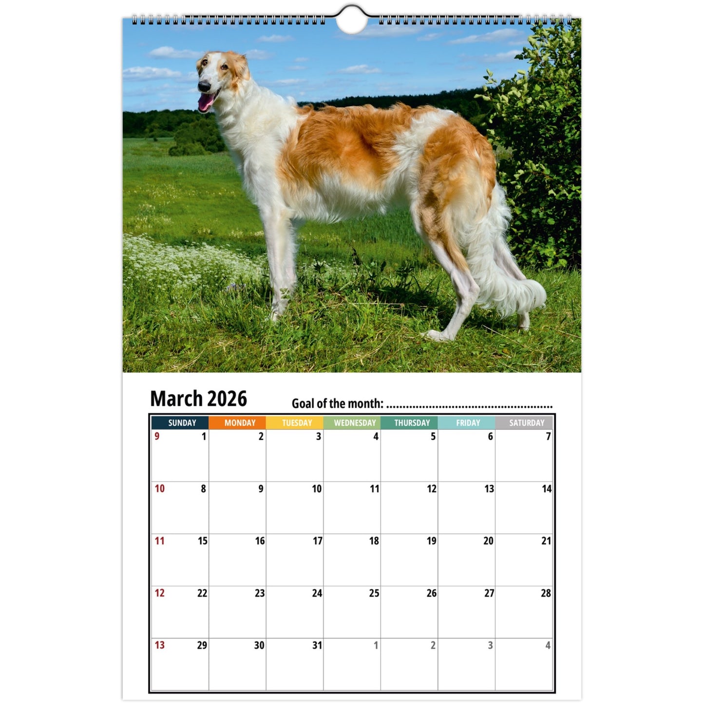 Borzoi Wall Calendar 2026