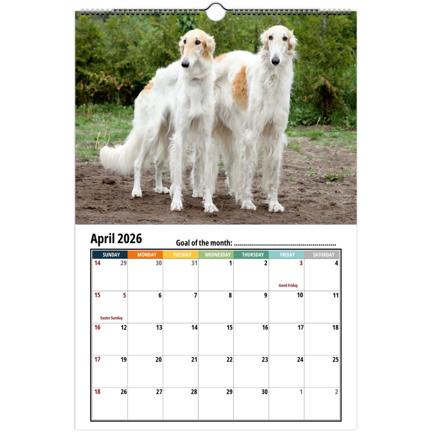 Borzoi Wall Calendar 2026