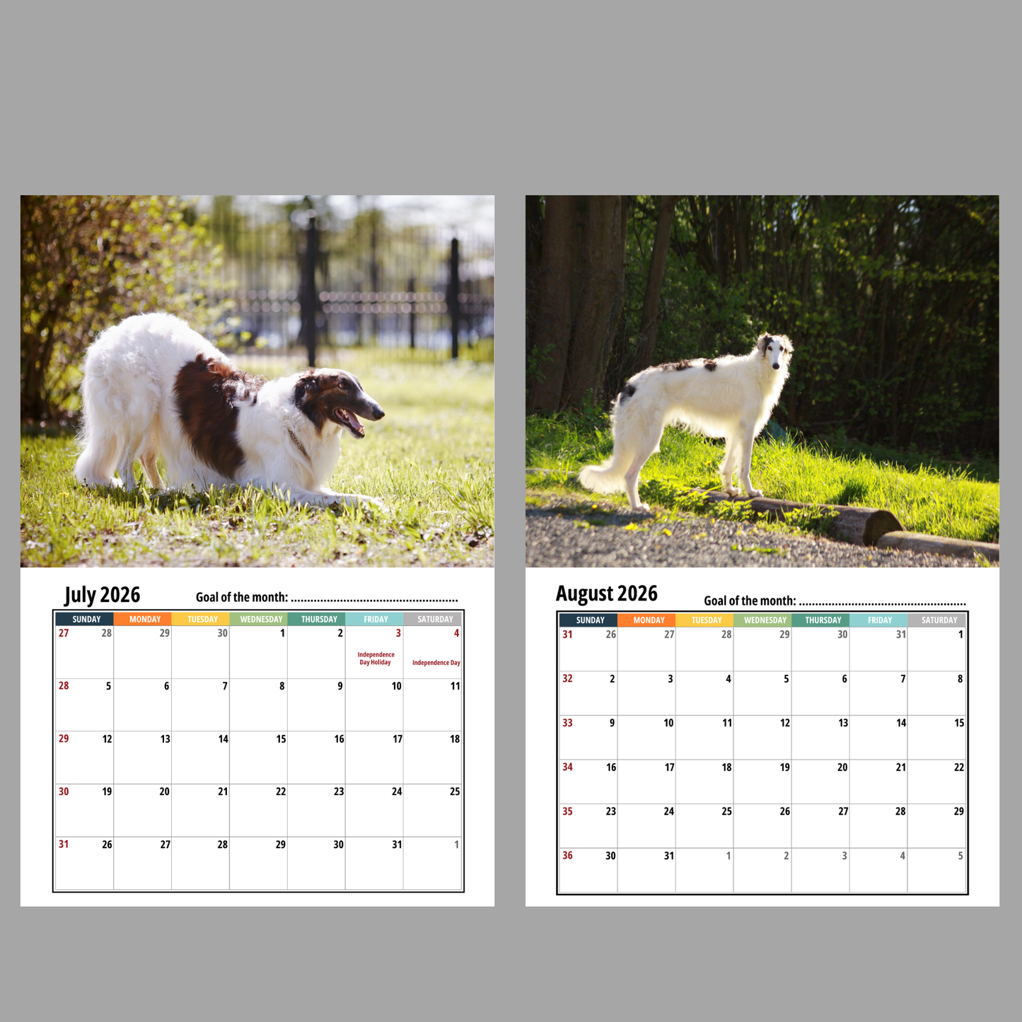 Borzoi Wall Calendar 2026