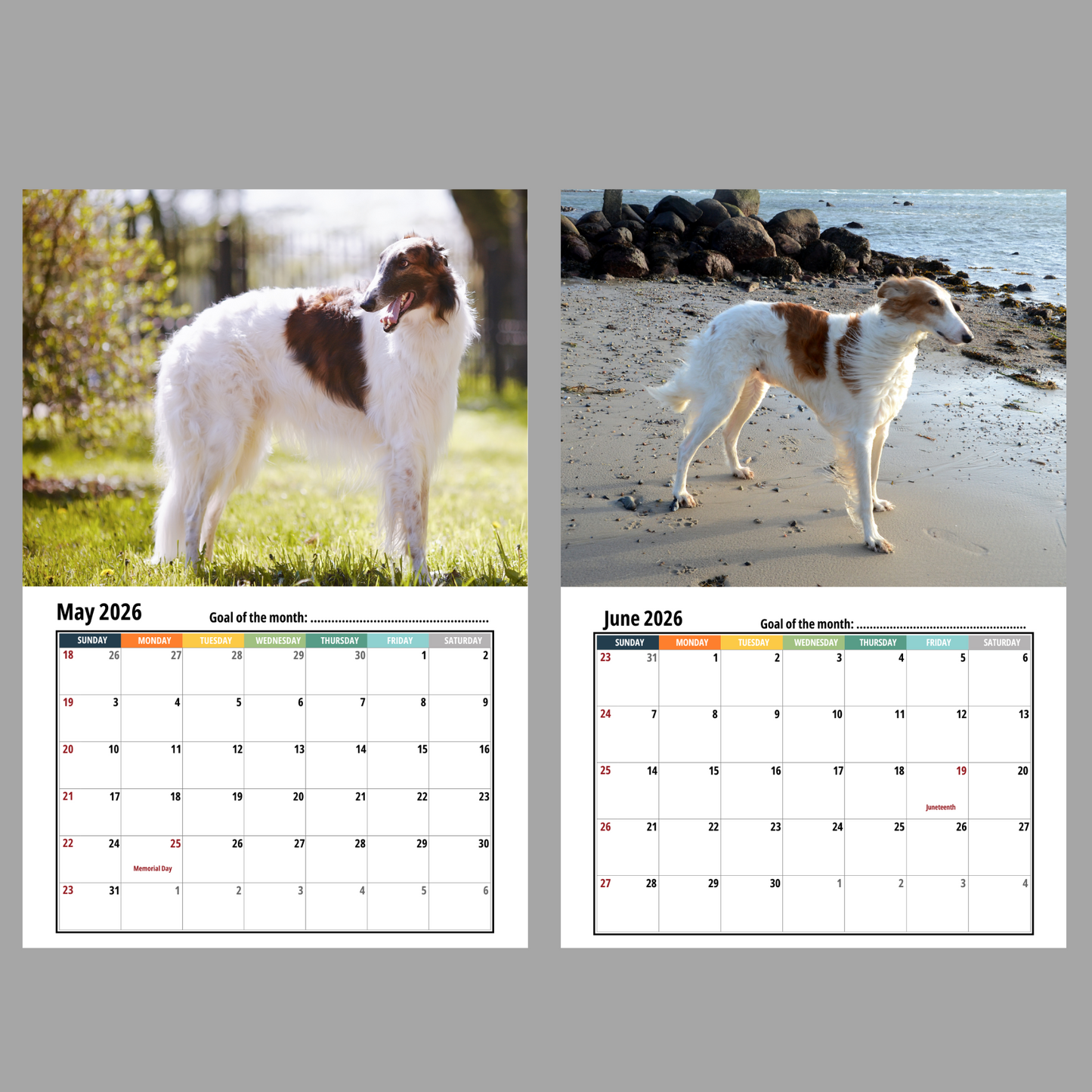 Borzoi Wall Calendar 2026