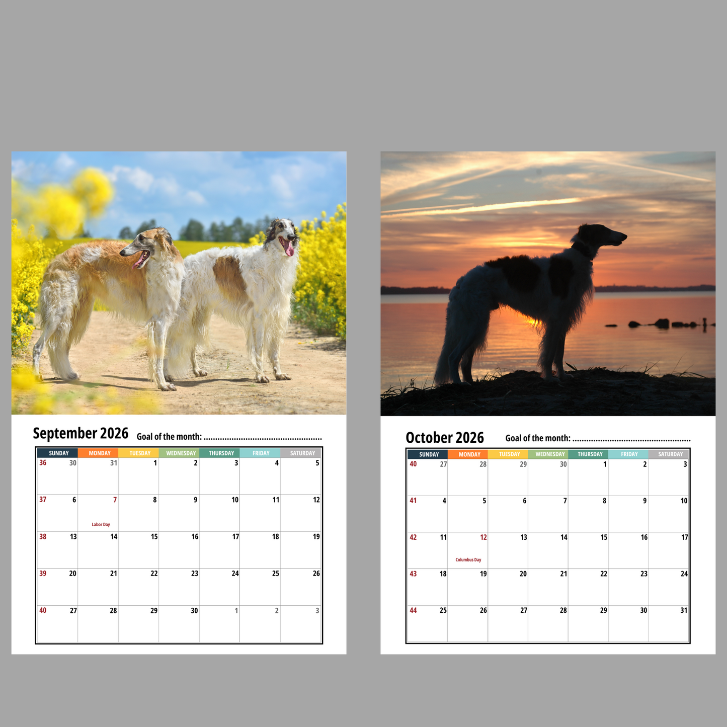 Borzoi Wall Calendar 2026
