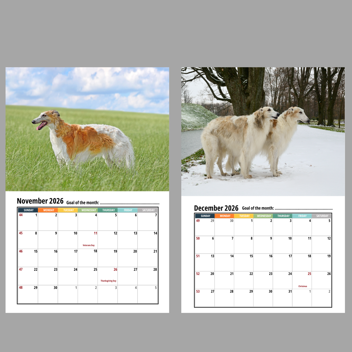 Borzoi Wall Calendar 2026
