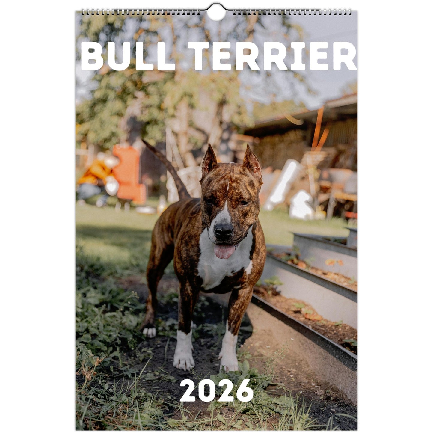 Bull Terrier Wall Calendar 2026 Default Title
