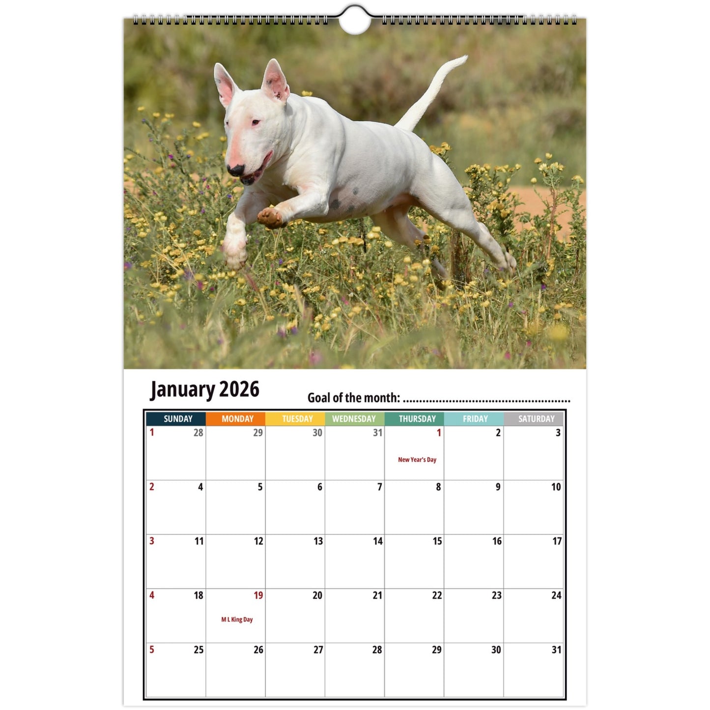 Bull Terrier Wall Calendar 2026
