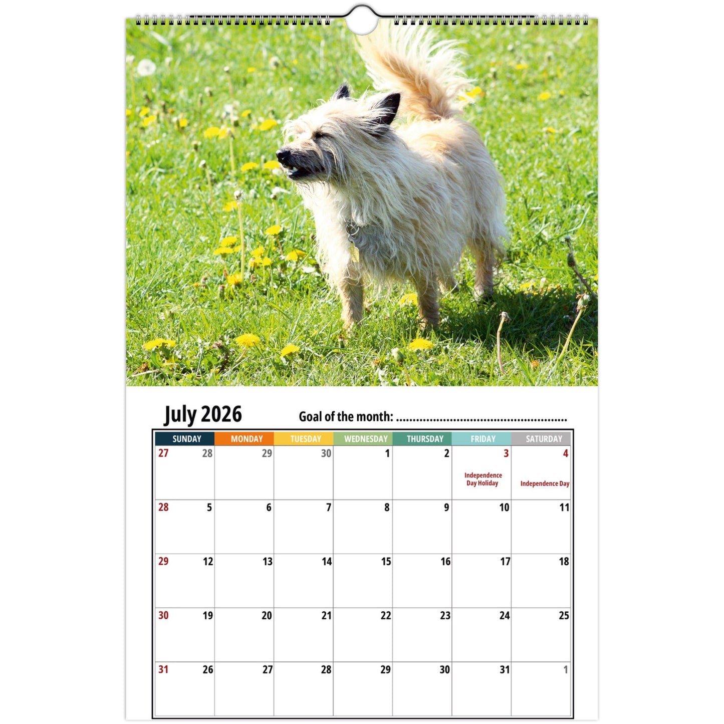 Cairn Terrier Wall Calendar 2026 3