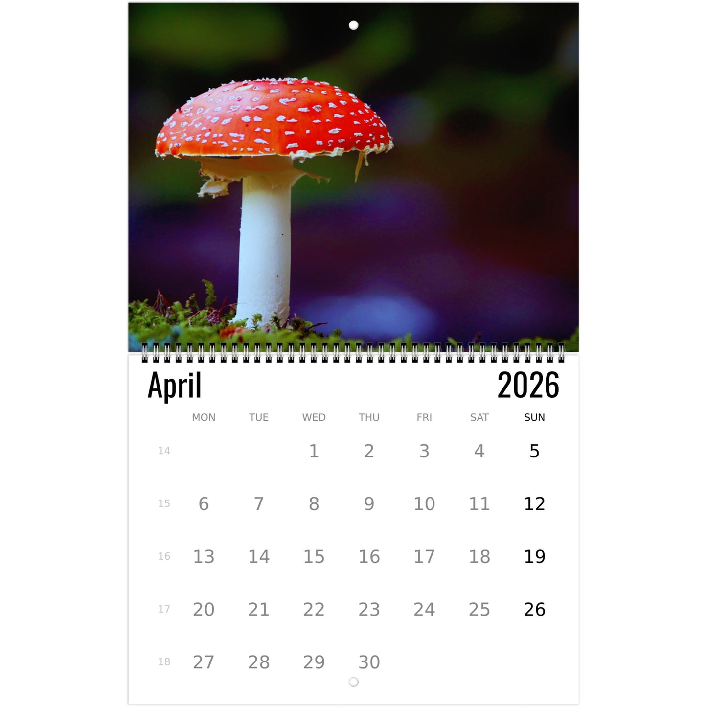 Calendar for April 2026 with a red and white mushroom on a blurred nature background