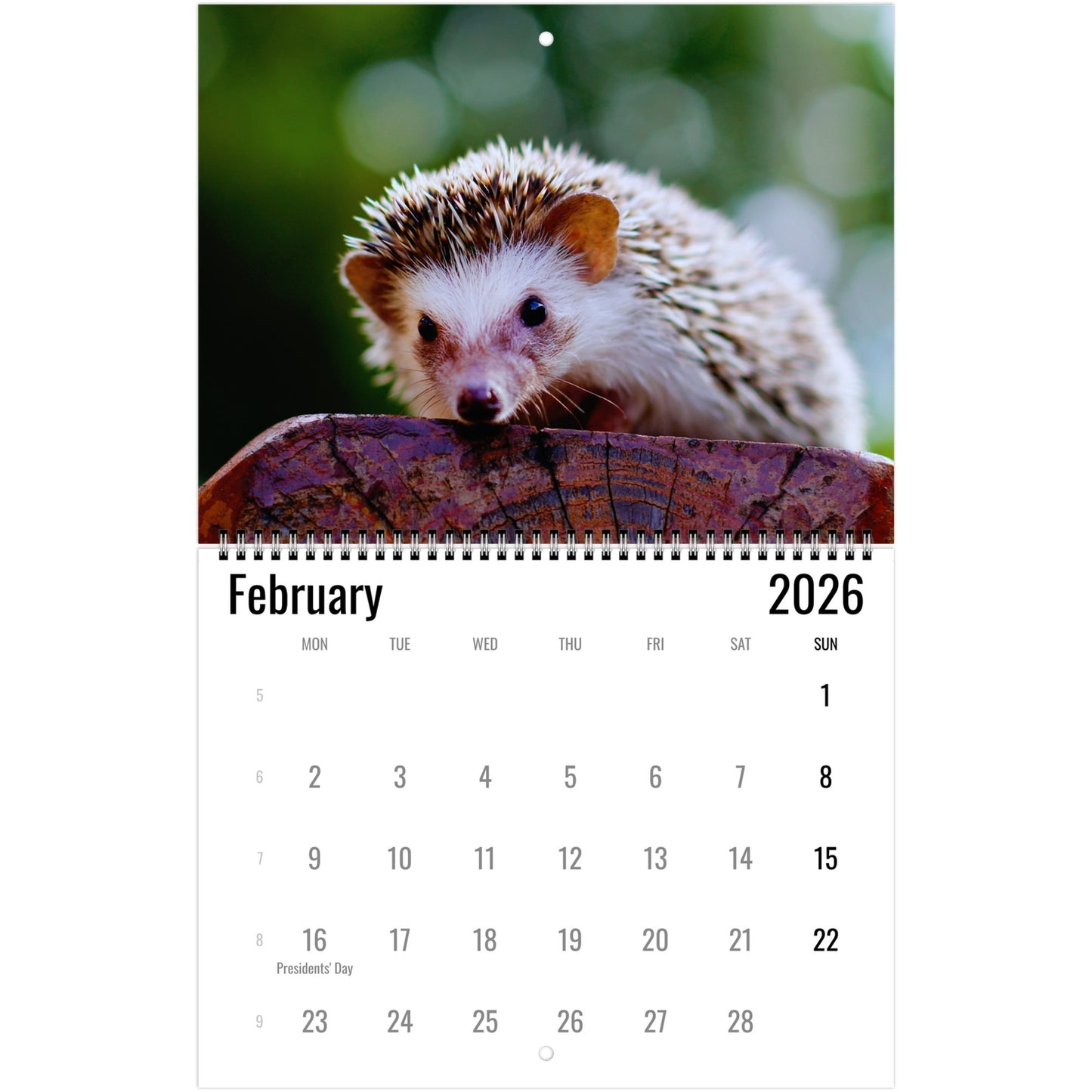 Calendar for February 2026 featuring a hedgehog on a blurred natural background