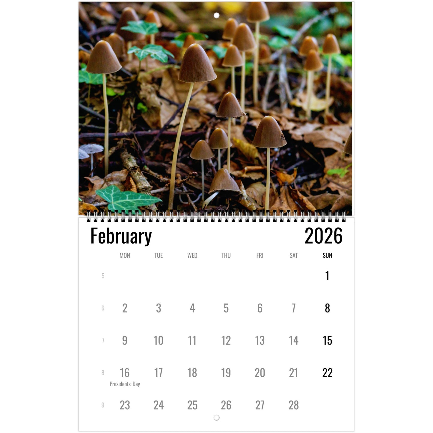 Calendar for February 2026 with a mushroom design on a white background