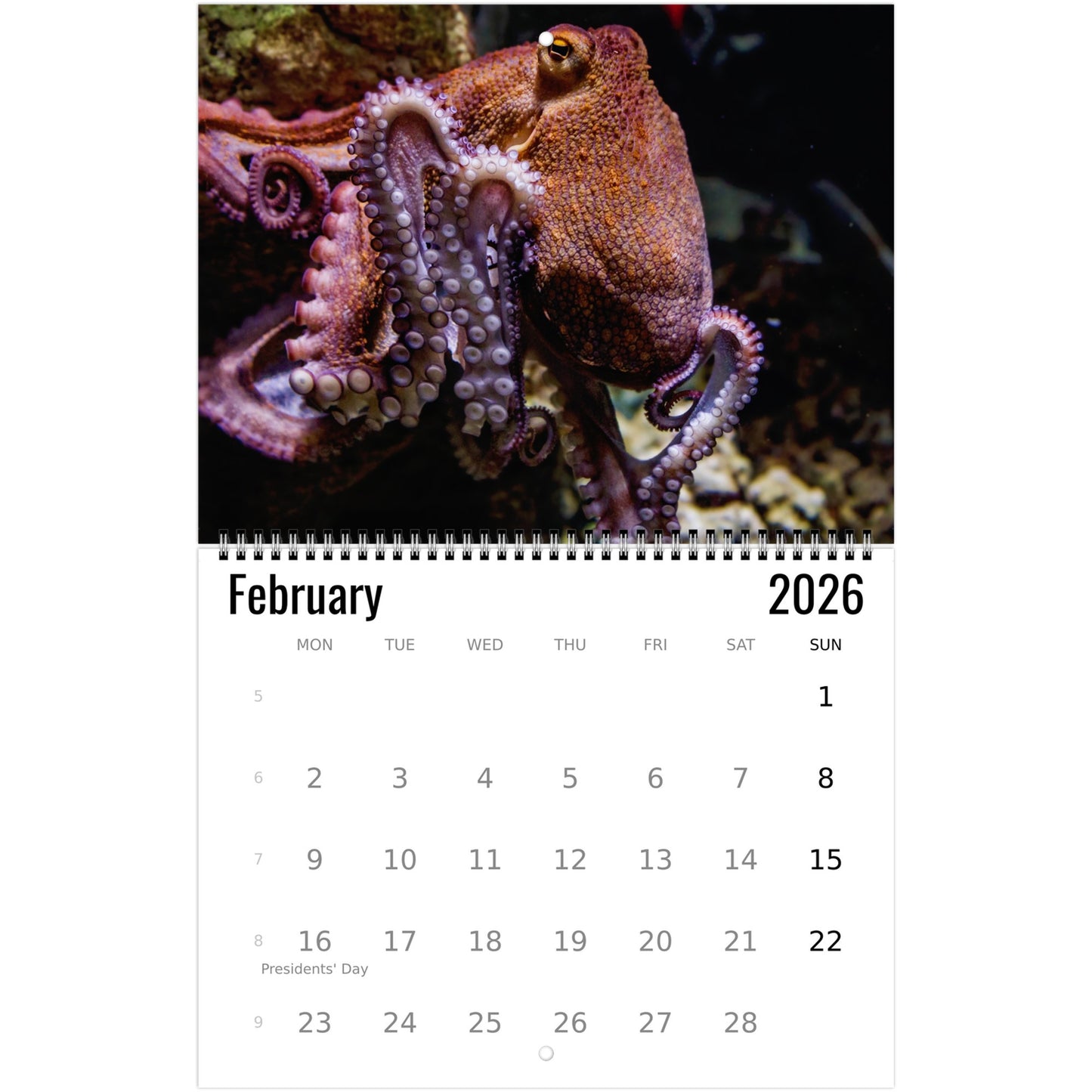 Calendar for February 2026 with an octopus on a white background