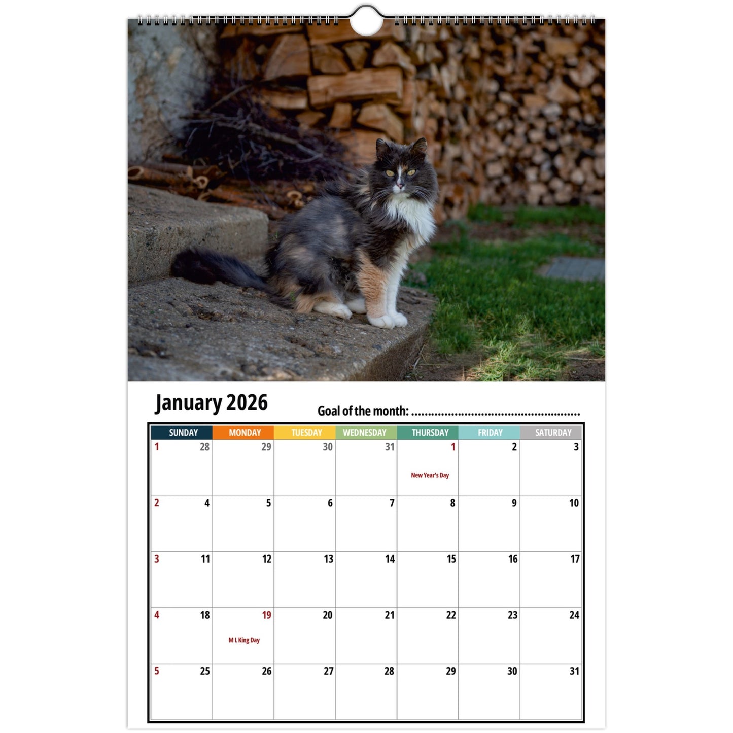 Calendar for January 2026 featuring a Norwegian Forest Cat 2026 on a stone ledge with stacked firewood in the background.