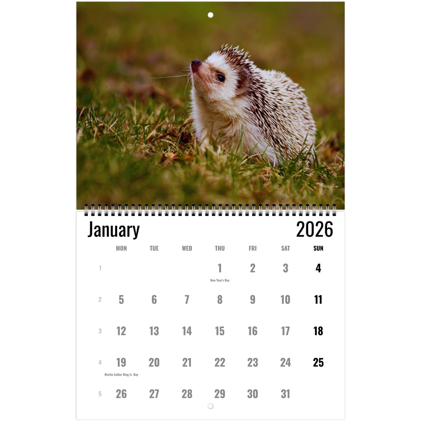 Calendar for January 2026 featuring a hedgehog on a grassy background